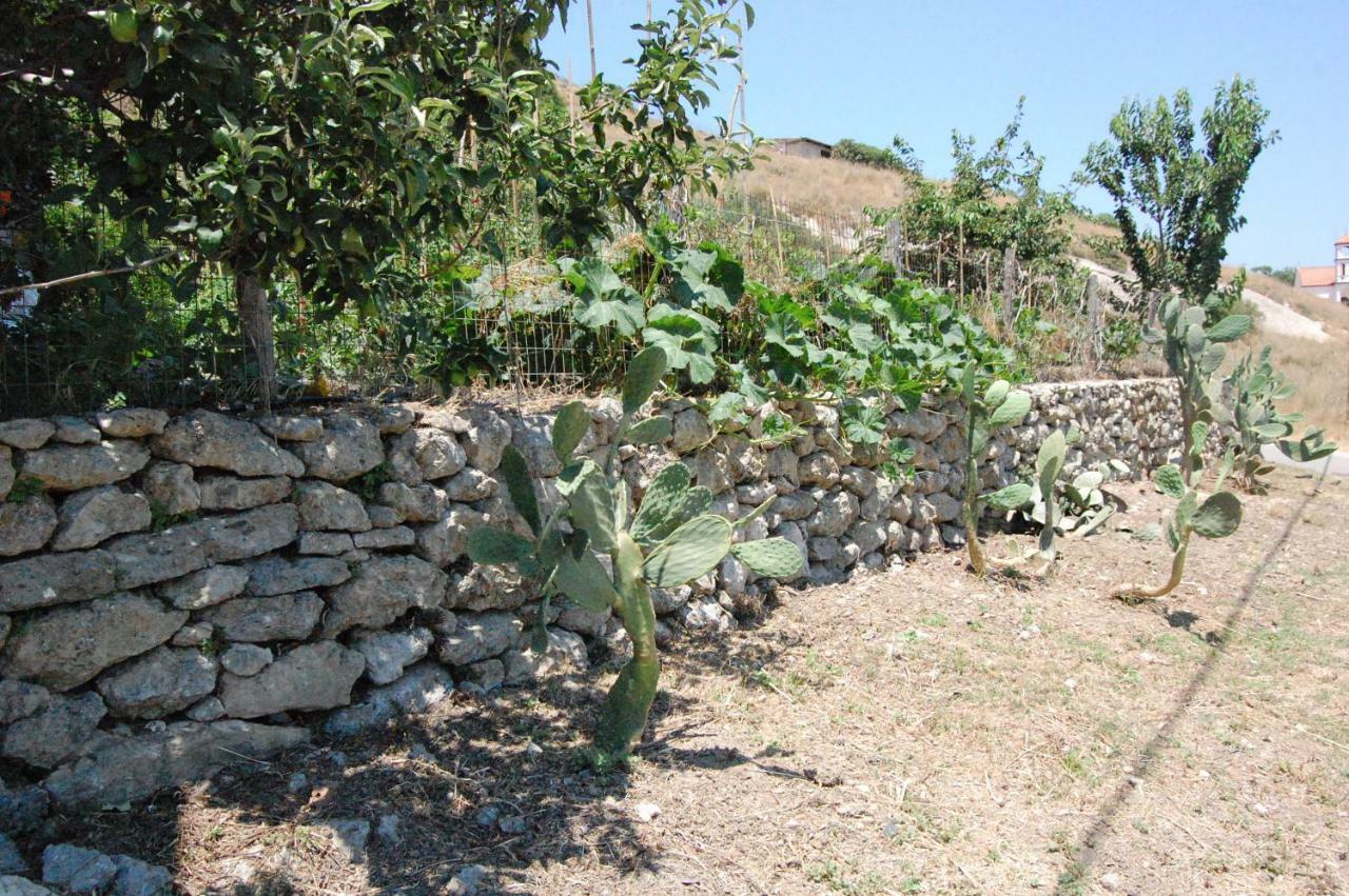Villa Old Winery House à Kolymbari Extérieur photo